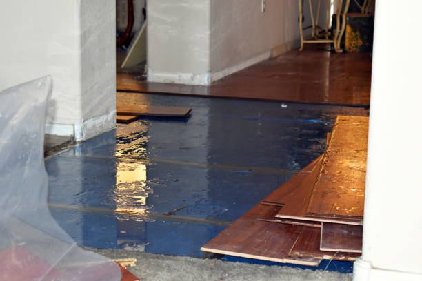 Professional Water Damage Repair technician working in Middle Point, OH
